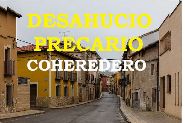 DESAHUCIO POR  PRECARIO COHEREDERO.