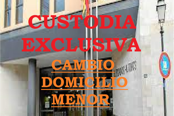 LA CUSTODIA EXCLUSIVA Y EL  CAMBIO DE DOMICILIO DEL MENOR.